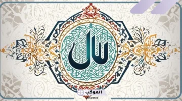 ألوان الود 2