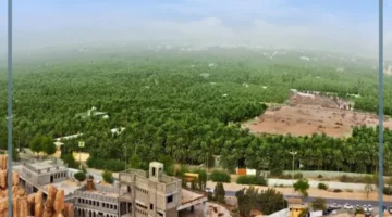 أهم مدن شمال المملكة