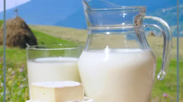 الحليب في الحلم