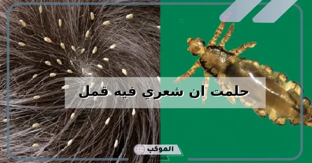 تفسير حلم القمل في الشعر وقتله