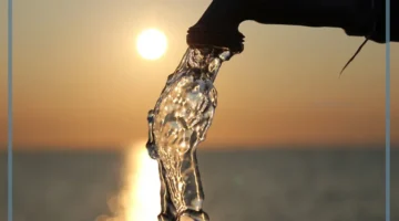 المياه المالحة ومصادرها