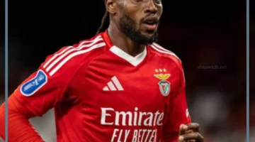 بنفيكا وفنربخشة