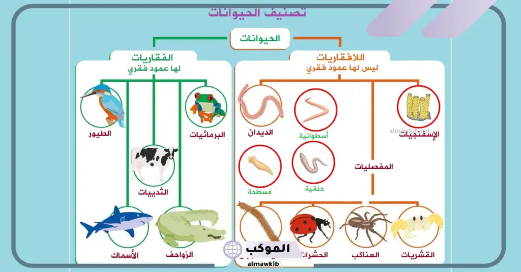 التاريخ كتابة بحث حول جهود العلماء في تصنيف الحيوانات 5 جهود العلماء في تصنيف الحيوانات ويكيبيديا