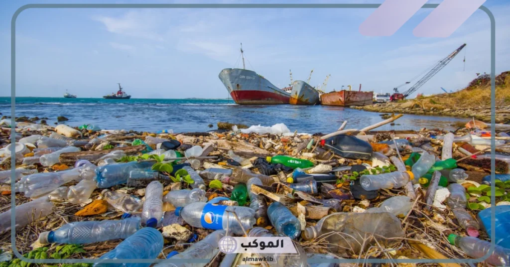 ومن اضرار التلوث القضاء على الاحياء البحريه من اسماك 5 حل مشكلة تلوث البحار والمحيطات