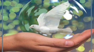 حكمة عن الوطن إذاعة مدرسية