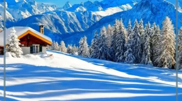 حلم الثلج للعزباء