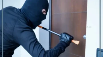 حلمت بسرقتي