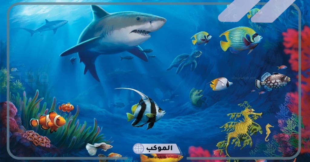 أخطر حيوانات البحر 