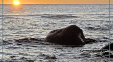 خاطرة عن البحر