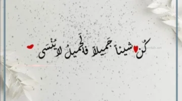 خلفية للاستخدام