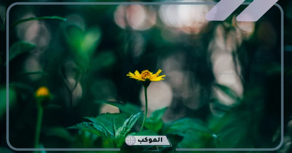 خلفيات واتس اب للشباب