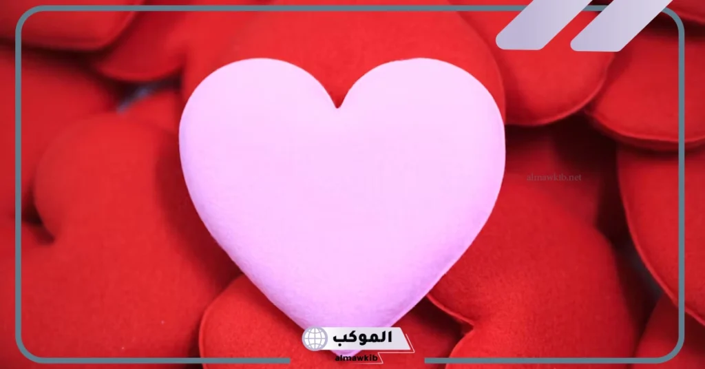 كلام عن السعادة والفرح 