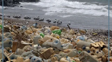 علاج تلوث البحار