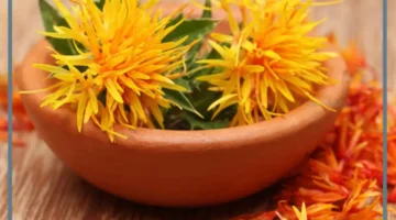 فوائد العصفر الطبية