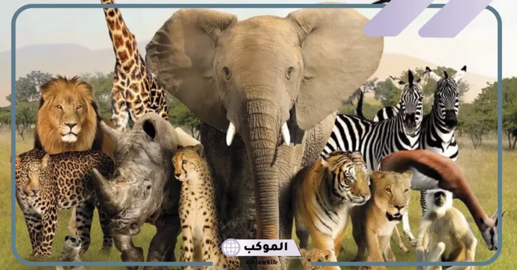 أنواع سلوك الحيوانات