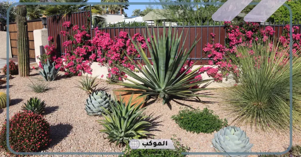 كيف تتكيف النباتات مع بيئتها