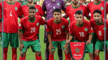 مدغشقر للمحليين