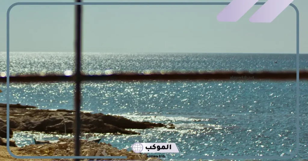 الشباك في المنام للعزباء