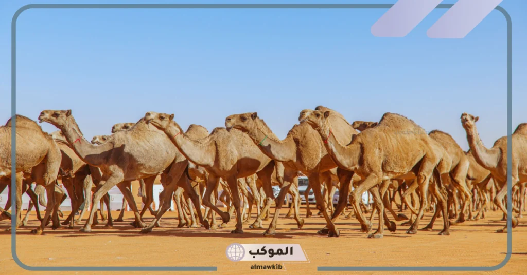 ما هو معنى الذود؟ استخدامات الذود في اللغة العربية 6 معنى الذود عن المحارم