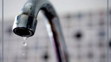 مياه عذبة ومالحة