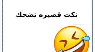نكت تموت ضحك