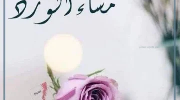 أجمل عبارة مساء الورد