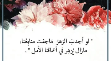 أحلى ما قيل في الأمل