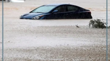 أسباب إعصار شاهين