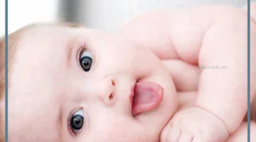 أسماء 25 الأنبياء بالترتيب