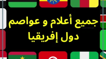 افريقيا