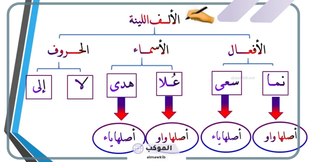 الألف اللينة في الأسماء 