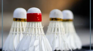 الريشة الطائرة