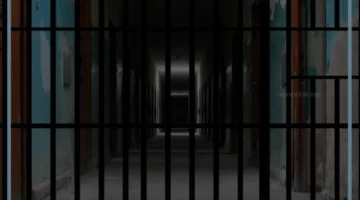 السجن للعزباء