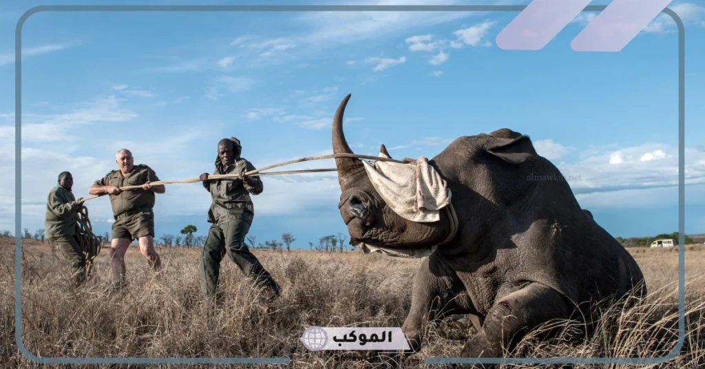 ما هو الصيد الجائر وأنواعه وأضراراه؟ معلومات عن الصيد 6 أضرار الصيد الجائر