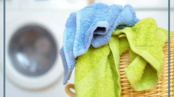 الغسيل للبنت