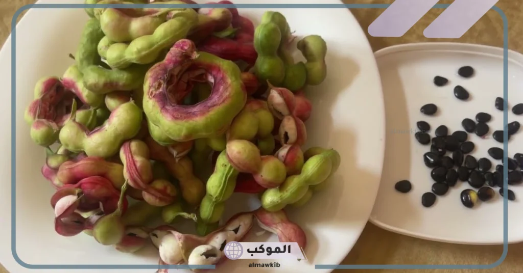 فوائد اللوز الهندي للشعر 