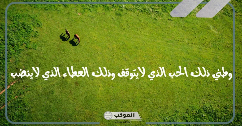 بحث عن حب الوطن كامل العناصر بالمقدمة والخاتمة والفهرس 5 ما العلاقة بين حب الوطن والولاء له؟