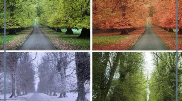 تعاقب الفصول