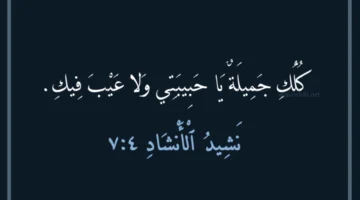 حبيبتي الجميلة