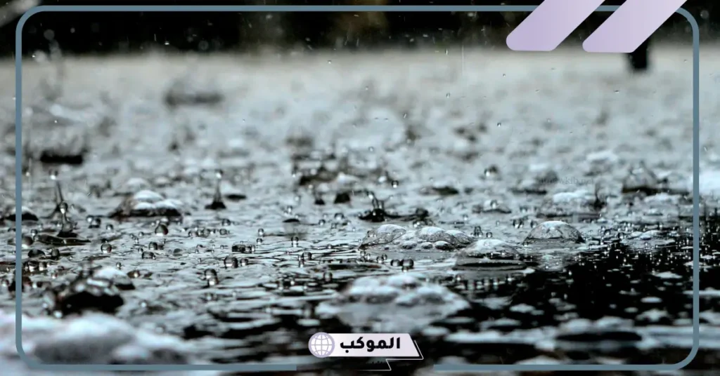 تفسير حلم رؤية المطر في المنام للمتزوجة والحامل لابن سيرين 6 تفسير حلم نزول المطر من سقف البيت للمتزوجة