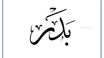 صفات اسم بدر