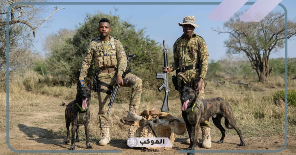 ما هو الصيد الجائر وأنواعه وأضراراه؟ معلومات عن الصيد 5 أنواع الصيد الجائر