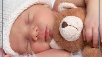 عبارات مولود