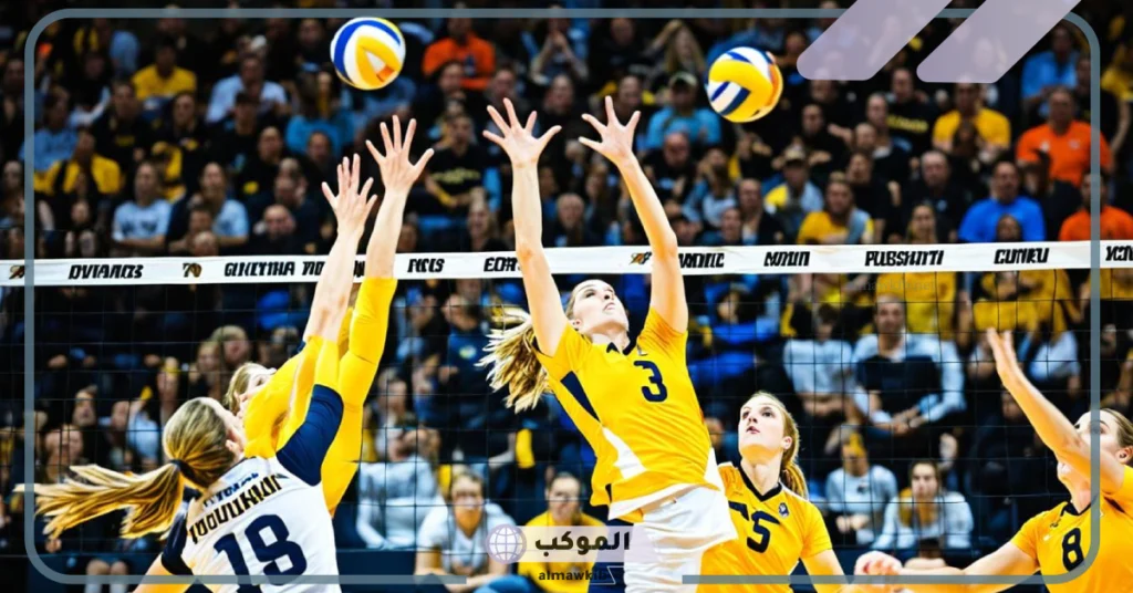 كم طول ملعب كرة الطائرة؟ قوانين لعبة كرة الطائرة 6 فوائد رياضة كرة الطائرة