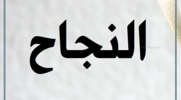 ما أجمل النجاح