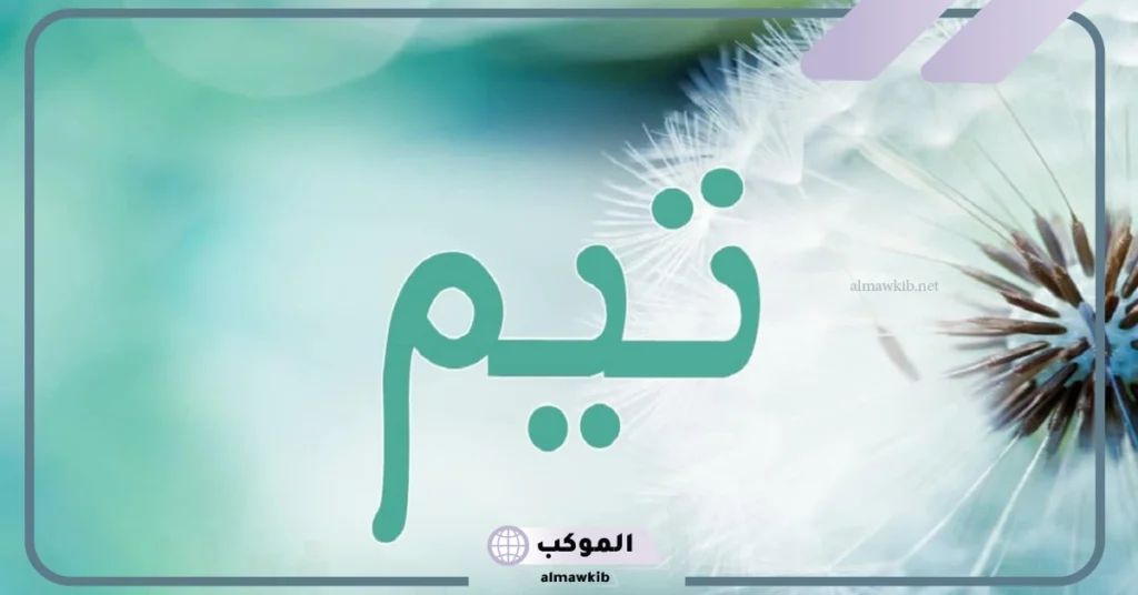 معنى تيم بالانجليزي
