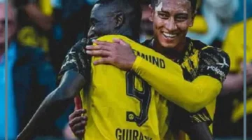 مباراة بوروسيا دورتموند ضد هايدنهايم