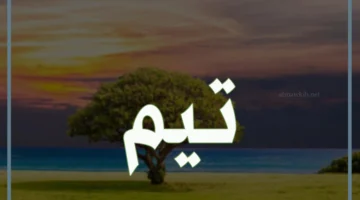 معنى اسم تيم في القرآن الكريم