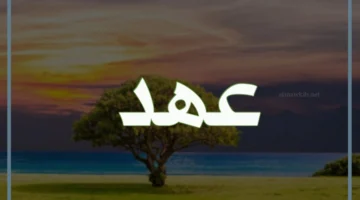 معنى اسم عهد في معجم المعاني