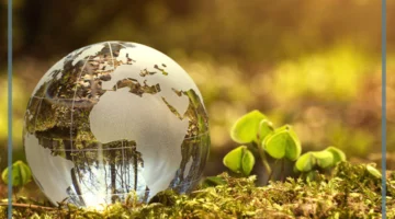 موارد متجددة وغير متجددة